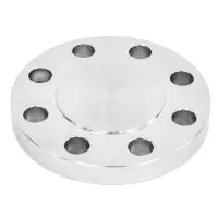 ANSI 300 316L Stainless Steel Blank Flange - 0