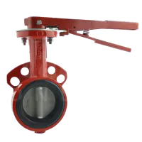 Bray Series 30 Wafer Butterfly Valve - 316 Stainless Steel Disc - 0