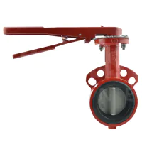 Bray Series 30 Wafer Butterfly Valve - 316 Stainless Steel Disc - 1