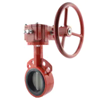 Bray Series 30 Wafer Butterfly Valve - Nylon Coated Ductile Iron Disc - 3