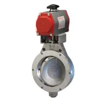 Bray Pneumatic Actuated Butterfly Valve Series 40 Double Offset Stainless Steel - 0