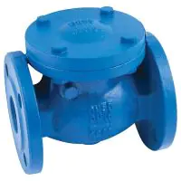 Flanged PN16 Cast Iron Metal Seated Swing Check Valve - 0