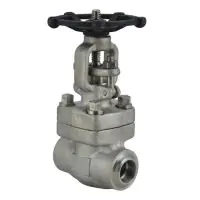 Class 800 Forged Stainless Steel 316L Globe Valve - 0