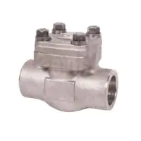 Class 800 Forged Stainless Steel 316L Piston Check Valve - 1