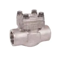 Class 800 Forged Stainless Steel 316L Piston Check Valve - 0