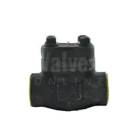 Forged Steel Piston Check Valve Class 800 - 1