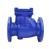 Cast Iron Swing Check Valve Flanged PN16 - Stainless Steel Seat - 2