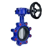 Ductile Iron Lugged Butterfly Valve - FKM Liner - 1