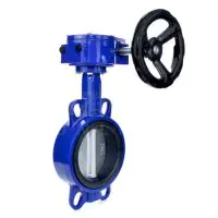 Ductile Iron Wafer Butterfly Valve - FKM Liner - 1