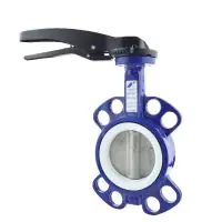 Ductile Iron Wafer Butterfly Valve - PTFE Liner - 2