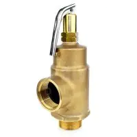Gresswell G100 High Lift Metal Seated Safety Relief Valve - 0