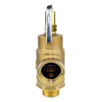 Gresswell G100 High Lift Metal Seated Safety Relief Valve - 1