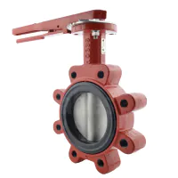 Bray Series 31 Lugged PN16 Butterfly Valve - 316 Stainless Steel Disc - 1