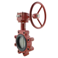 Bray Series 31 Lugged PN16 Butterfly Valve - 316 Stainless Steel Disc - 3