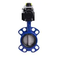 Pneumatic Actuated Wafer Pattern Butterfly Valve - FKM Lined - 1