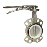 PTFE Lined Stainless Steel Butterfly Valve - 1