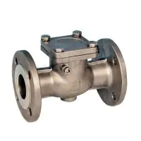 Stainless Steel Flanged Swing Check Valve - 0