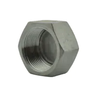 NPT Stainless Steel Hexagon Cap - 0
