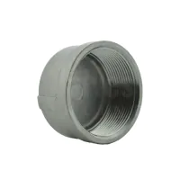 NPT Stainless Steel Round End Cap - 0