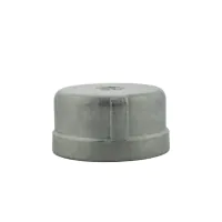 NPT Stainless Steel Round End Cap - 1