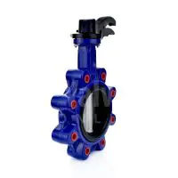 Ductile Iron Lugged Butterfly Valve - FKM Liner - 4