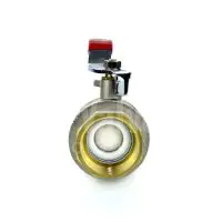  Economy Brass Ball Valve with Built-In Check Valve - 3