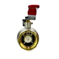  Economy Brass Ball Valve with Built-In Check Valve - 4