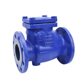 Cast Iron Swing Check Valve Flanged PN16 - Metal Seat