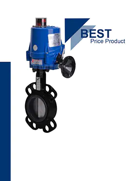 Electric Actuated Economy Wafer Pattern Butterfly Valve
